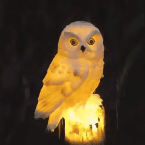 Buho solar mágico LED - Lleva 2 paga 1