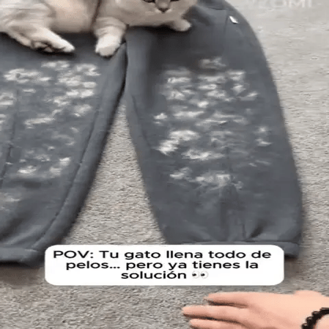 Guante electroestático quita pelos de mascotas + libro digital 🎁