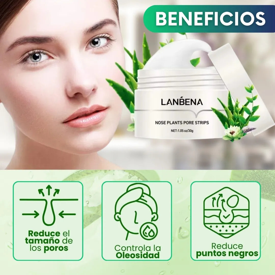 Lanbena®: Mascarilla avanzada para puntos negros + 60 parches🎁