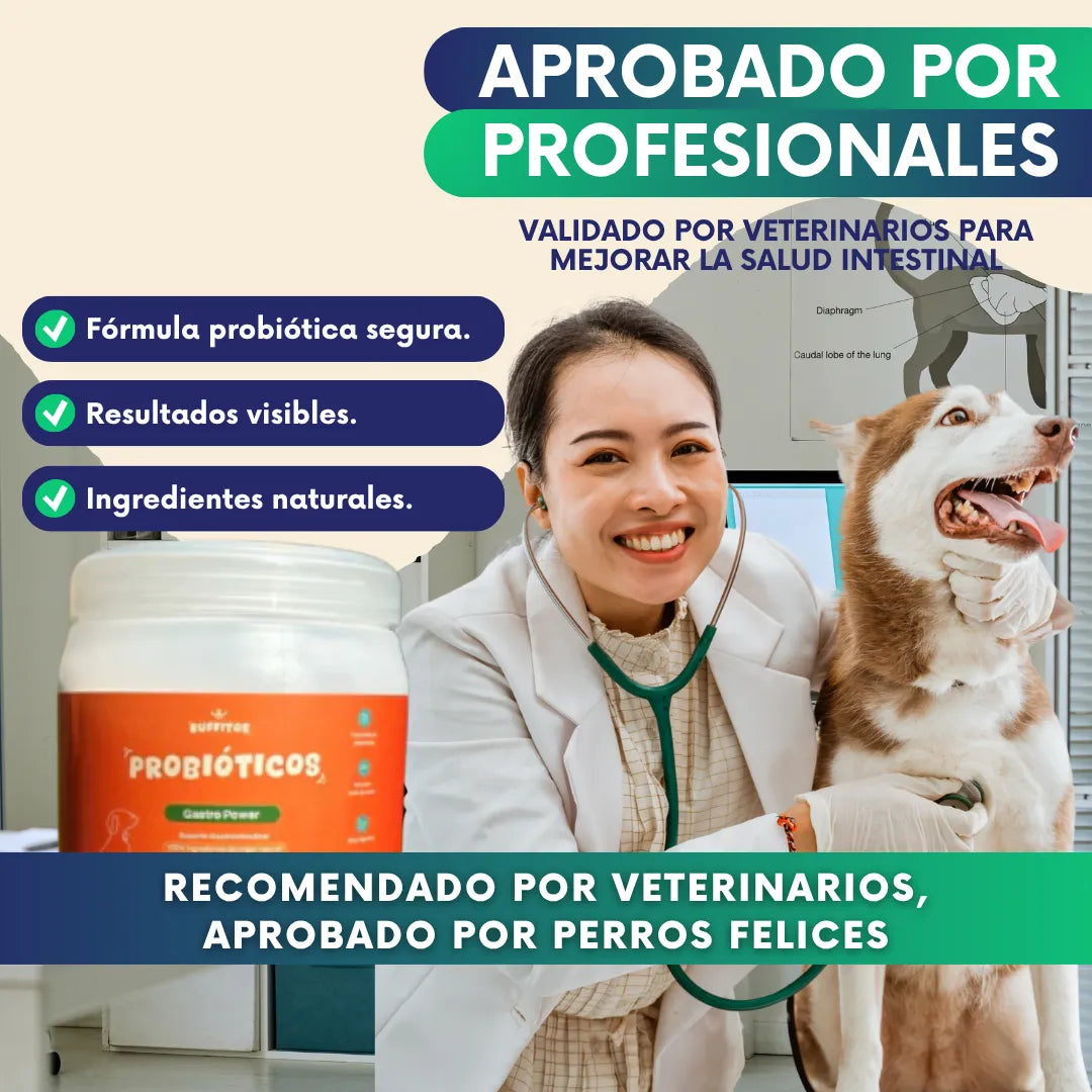 GastroPower - Probiótico natural para perros