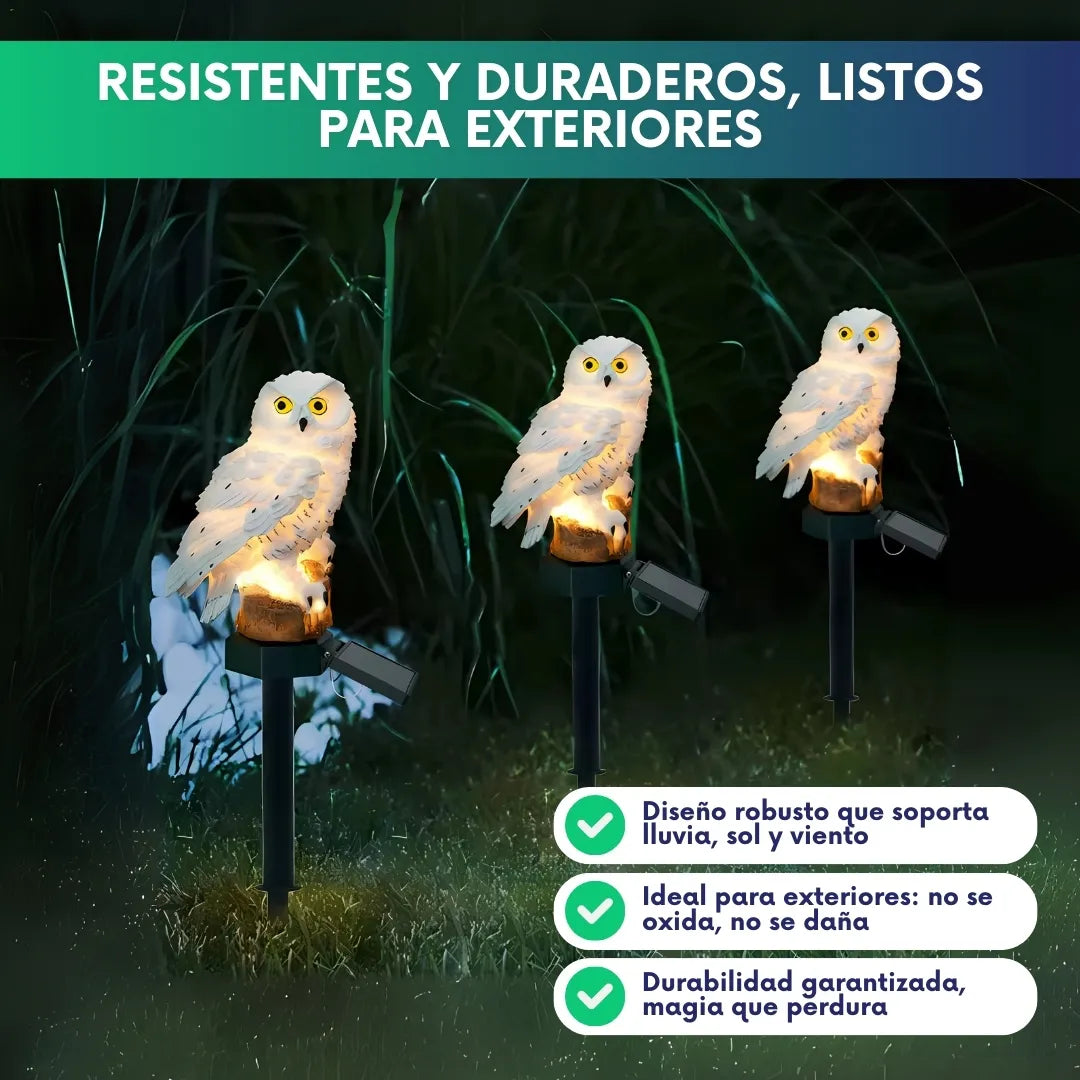 Buho solar mágico LED - Lleva 2 paga 1