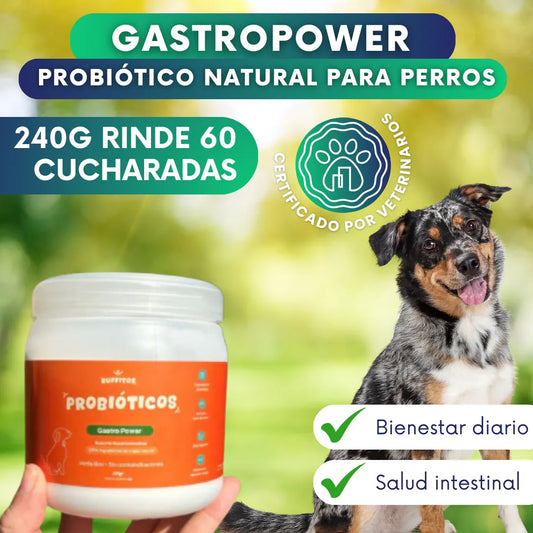 GastroPower - Probiótico natural para perros