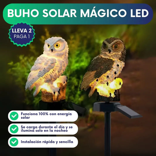Buho solar mágico LED - Lleva 2 paga 1
