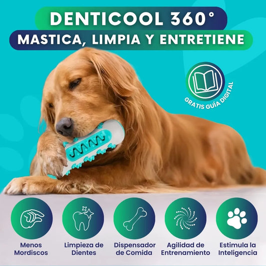 DentiCool 360° | Mastica, Limpia y Entretiene + eBook 🎁