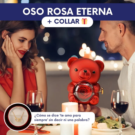 Oso Rosa Eterna + Collar 🎁