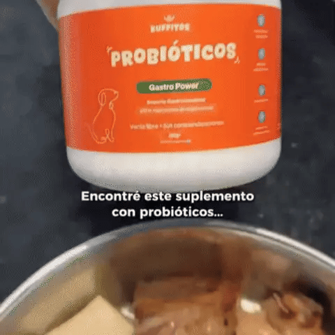 GastroPower - Probiótico natural para perros