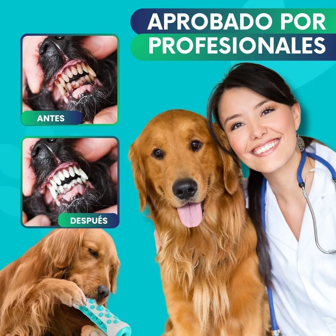 DentiCool 360° | Mastica, Limpia y Entretiene + eBook 🎁