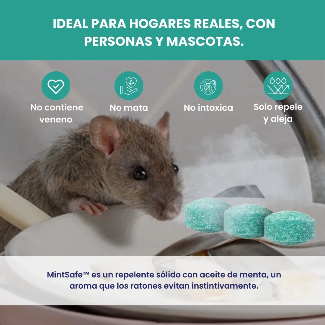MintSafe™ - Pack x 12 Bolas repelente de roedores - 100% naturales con aceite de menta