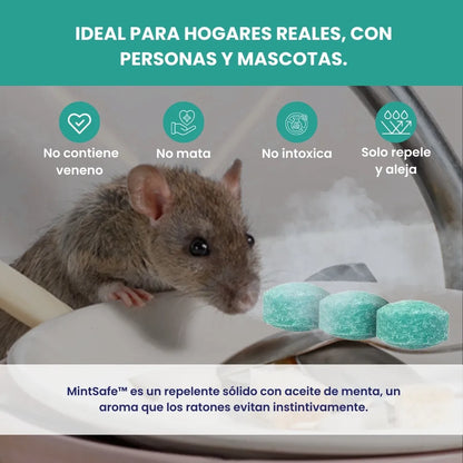 MintSafe™ - Pack x 12 Bolas repelente de roedores - 100% naturales con aceite de menta