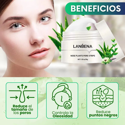 Lanbena®: Mascarilla avanzada para puntos negros + 60 parches🎁