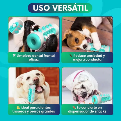 DentiCool 360° | Mastica, Limpia y Entretiene + eBook 🎁