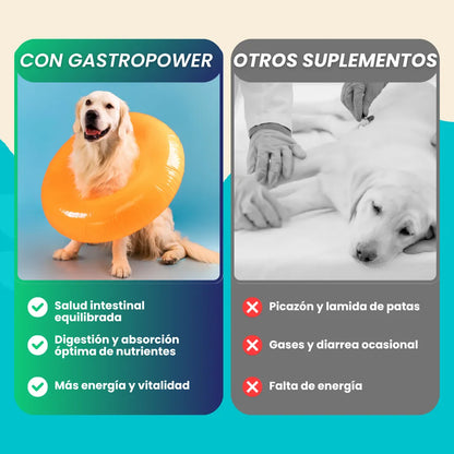 GastroPower - Probiótico natural para perros